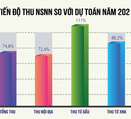 Áp lực đạt chỉ tiêu thu ngân sách năm 2021